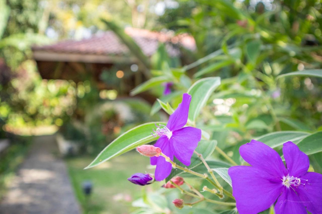 Hotel Casa Merlin Puerto Viejo de Talamanca 外观 照片
