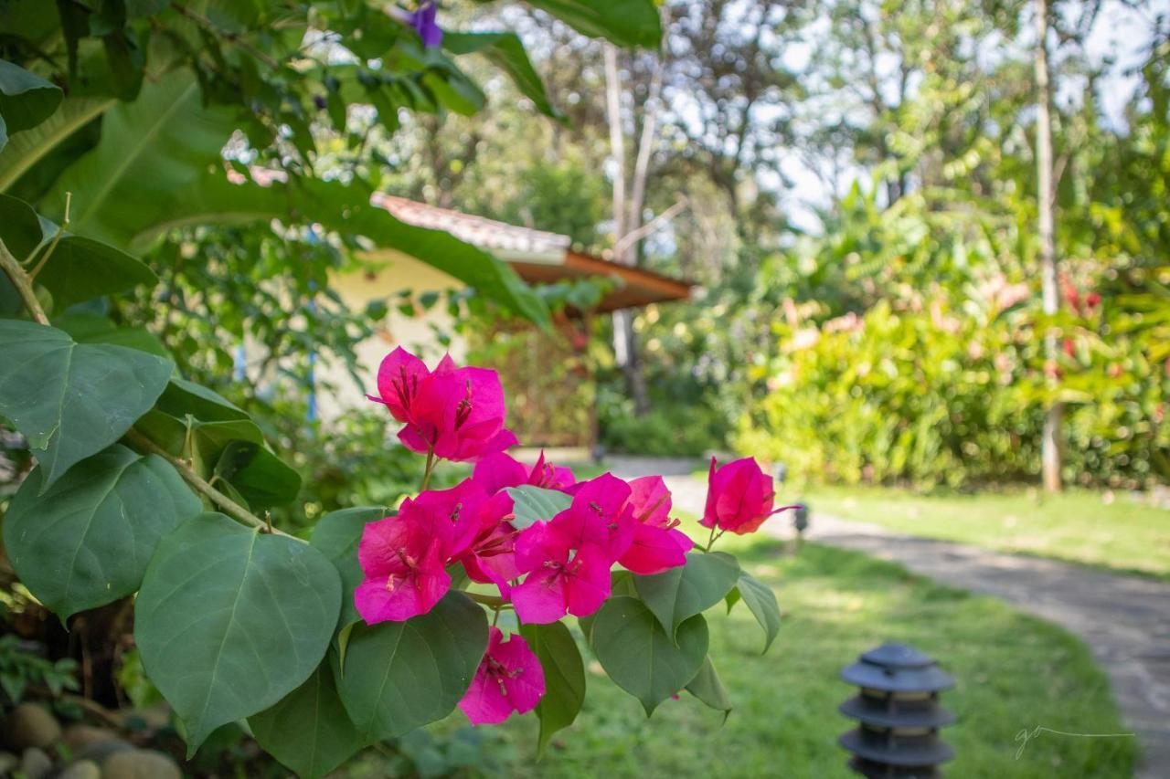 Hotel Casa Merlin Puerto Viejo de Talamanca 外观 照片