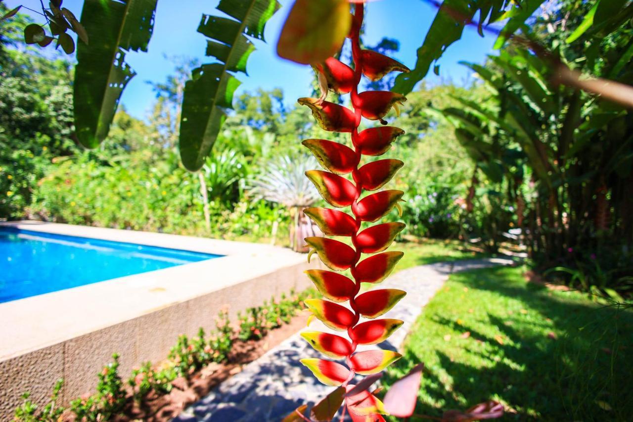 Hotel Casa Merlin Puerto Viejo de Talamanca 外观 照片