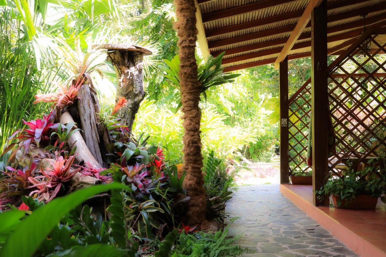 Hotel Casa Merlin Puerto Viejo de Talamanca 外观 照片