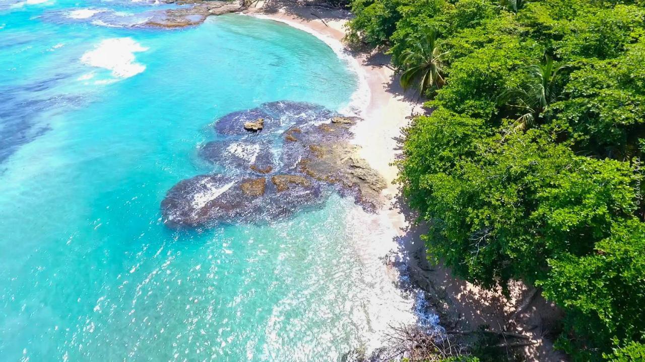 Hotel Casa Merlin Puerto Viejo de Talamanca 外观 照片