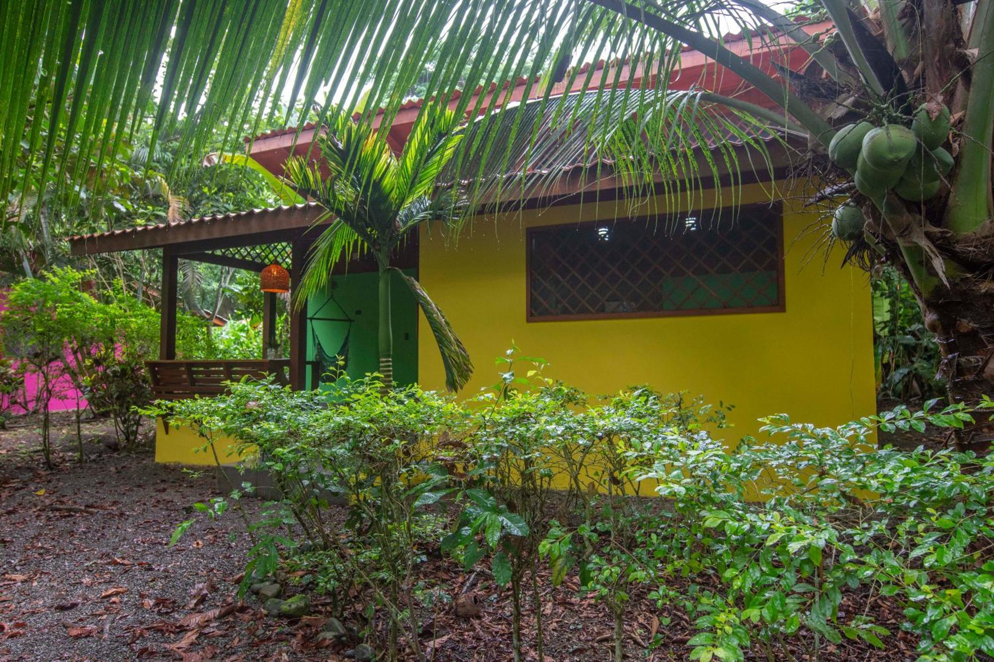 Hotel Casa Merlin Puerto Viejo de Talamanca 客房 照片